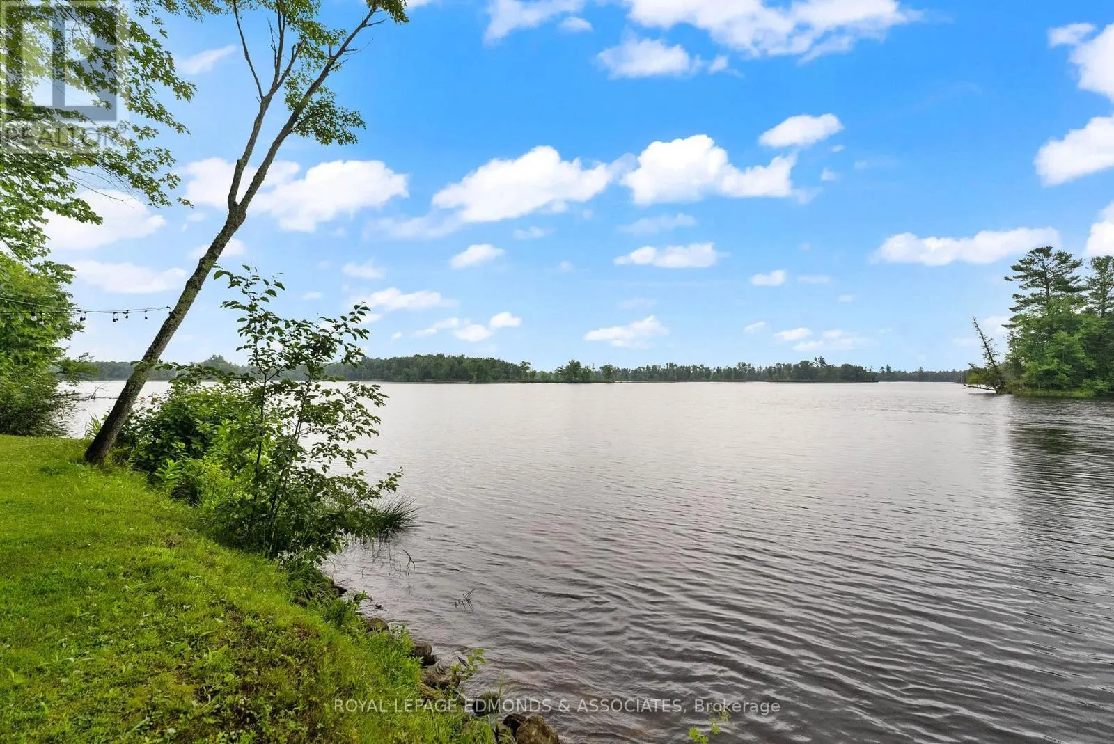 178 PURPLE FINCH TRAIL