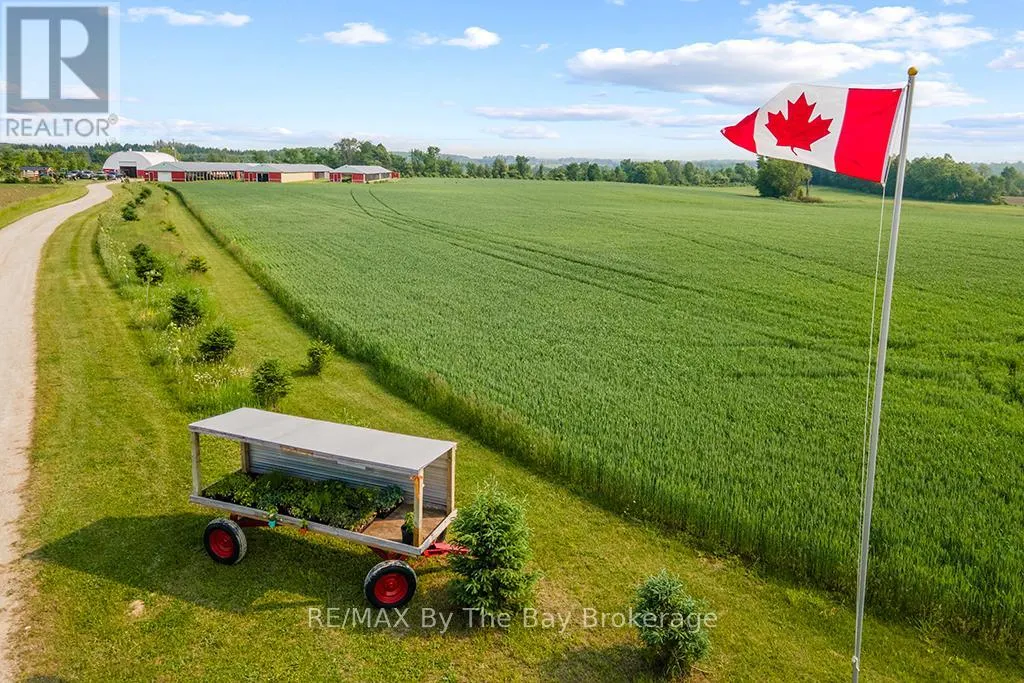 828482 MULMUR NOTTAWASAGA TOWNLINE