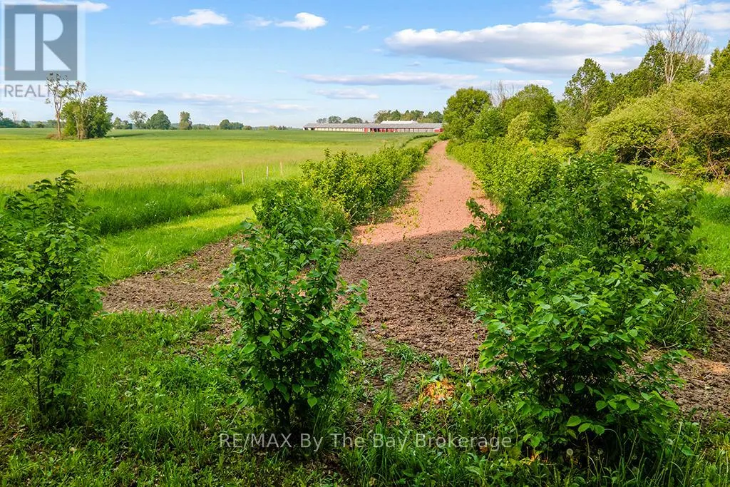 828482 MULMUR NOTTAWASAGA TOWNLINE
