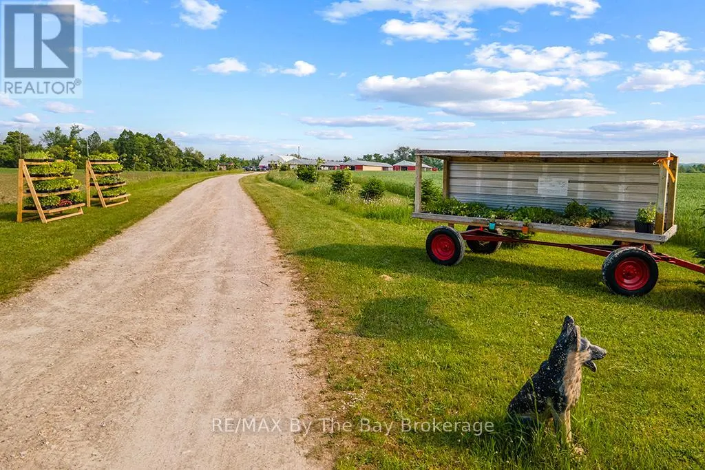 828482 MULMUR NOTTAWASAGA TOWNLINE
