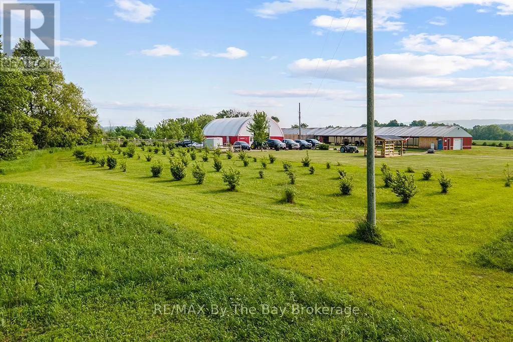 828482 MULMUR NOTTAWASAGA TOWNLINE
