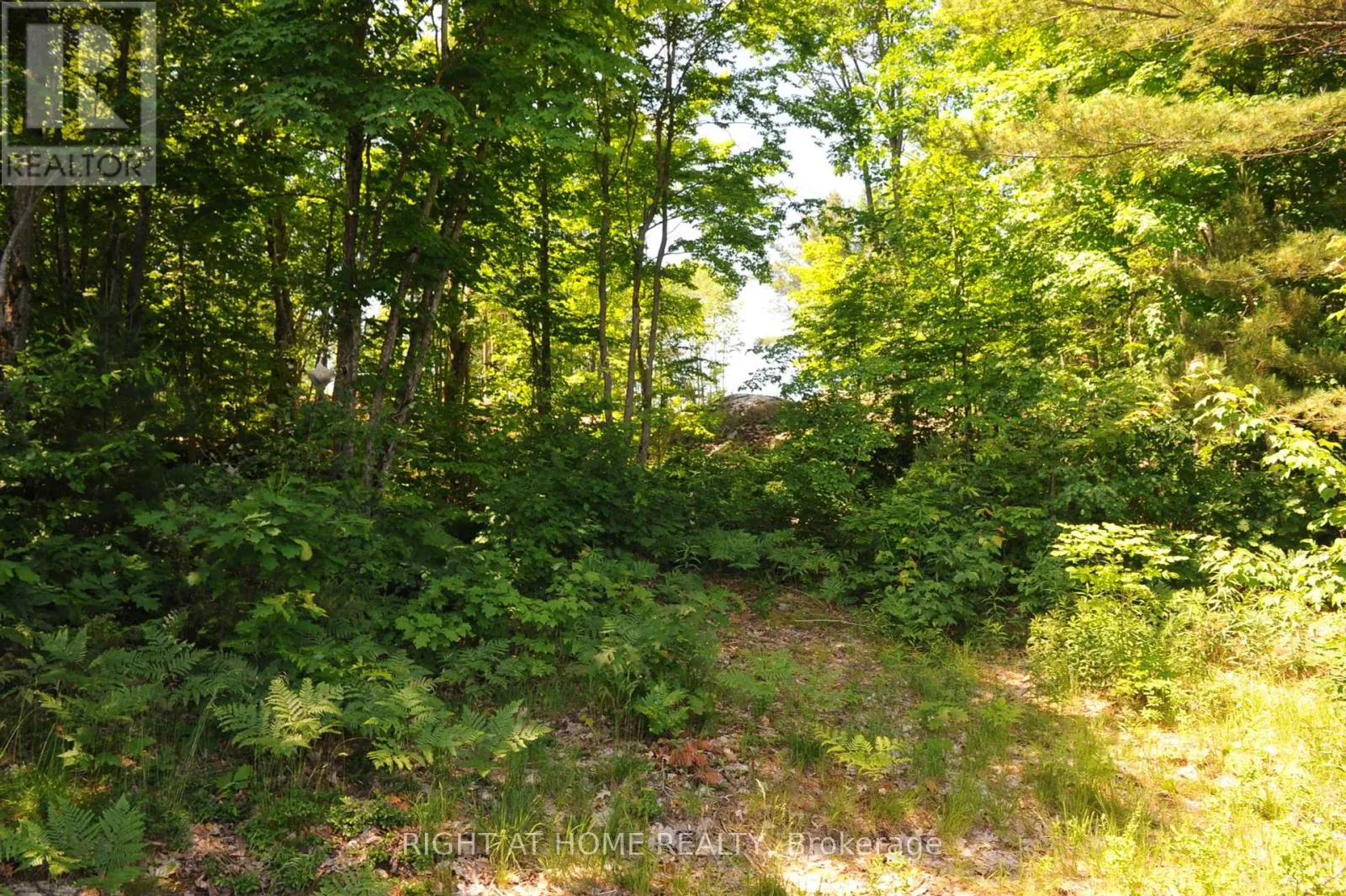 22 HAWKINS POINT