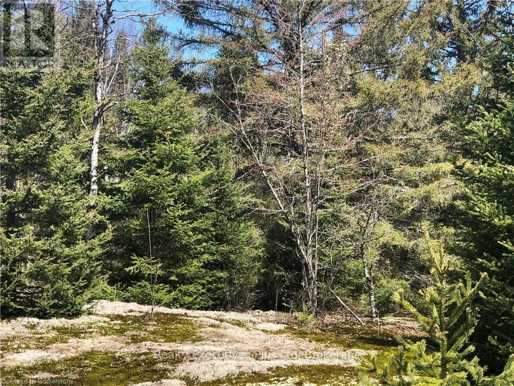 00 PICKEREL & JACK LAKE ROAD