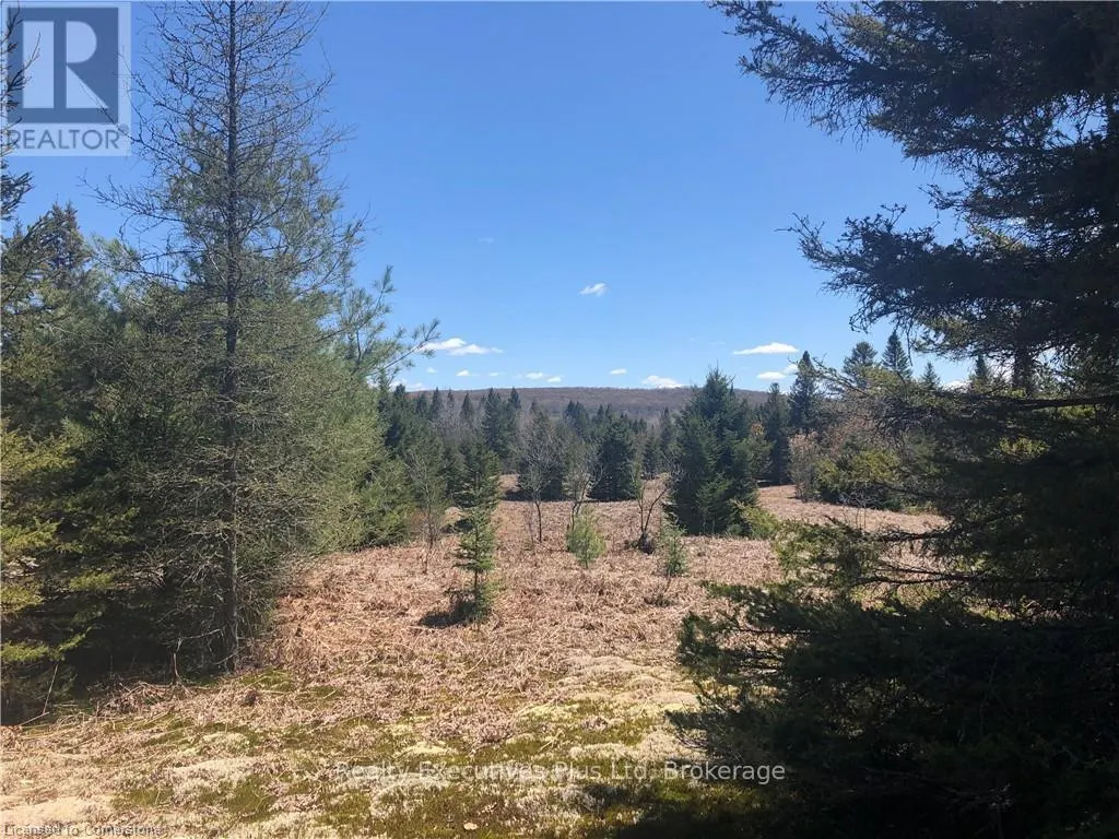 00 PICKEREL & JACK LAKE ROAD