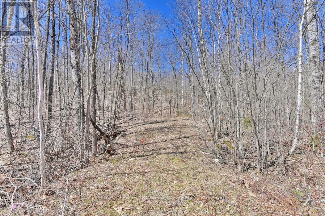 0 BAKER VALLEY & BEBRIS ROAD