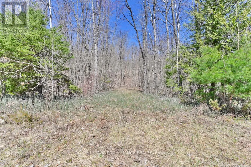 0 BAKER VALLEY & BEBRIS ROAD