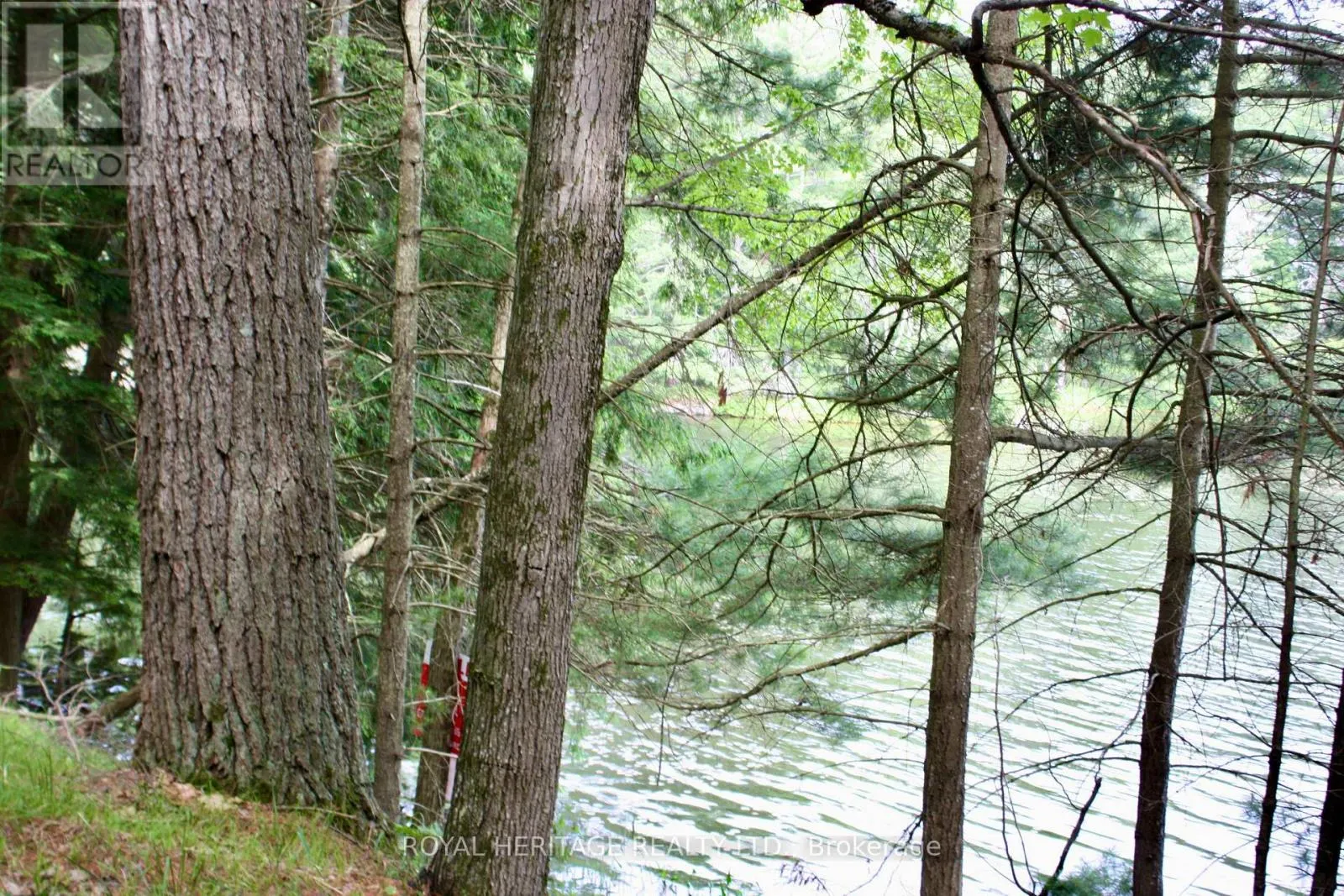 LOT 3 - N/A-WAO KASSHABOG LAKE