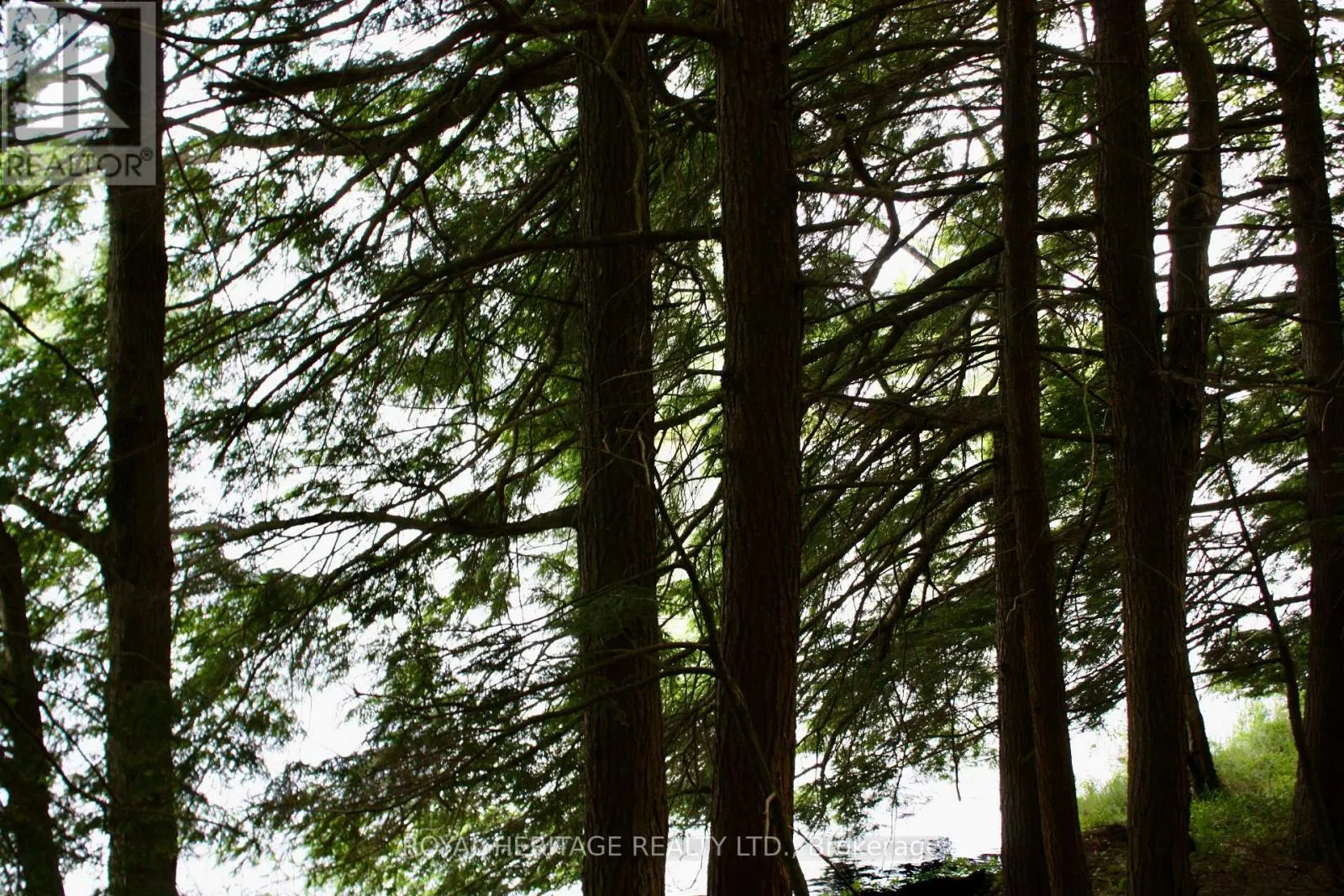 LOT 3 - N/A-WAO KASSHABOG LAKE