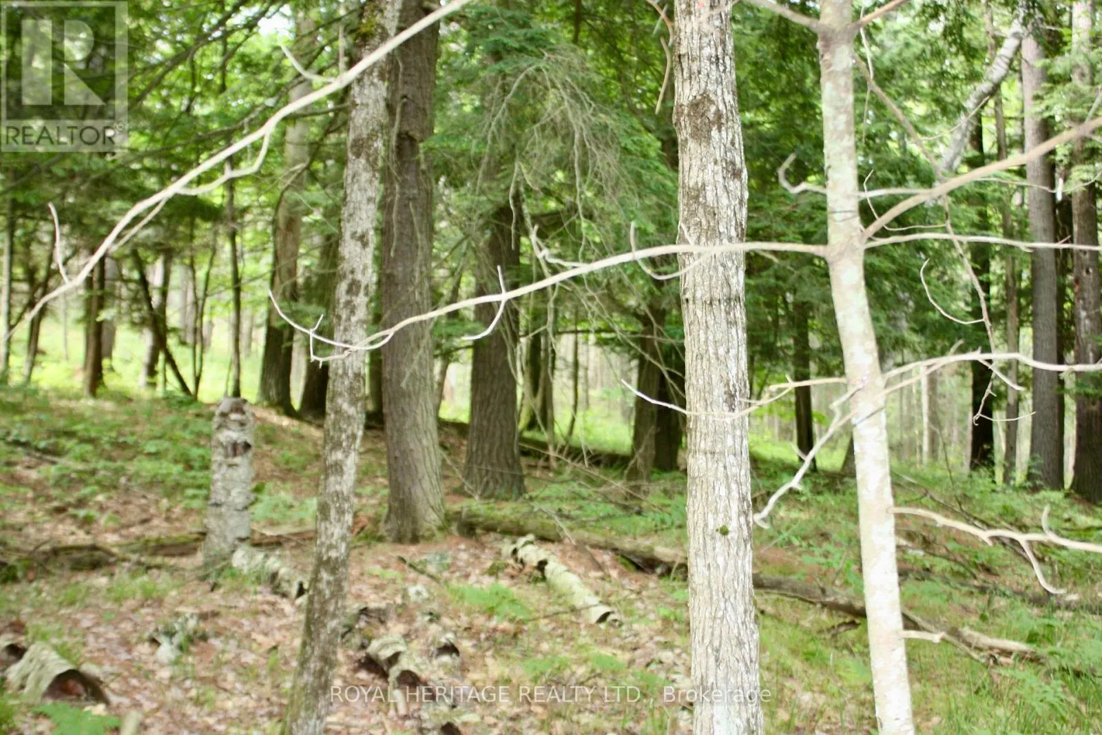 LOT 3 - N/A-WAO KASSHABOG LAKE