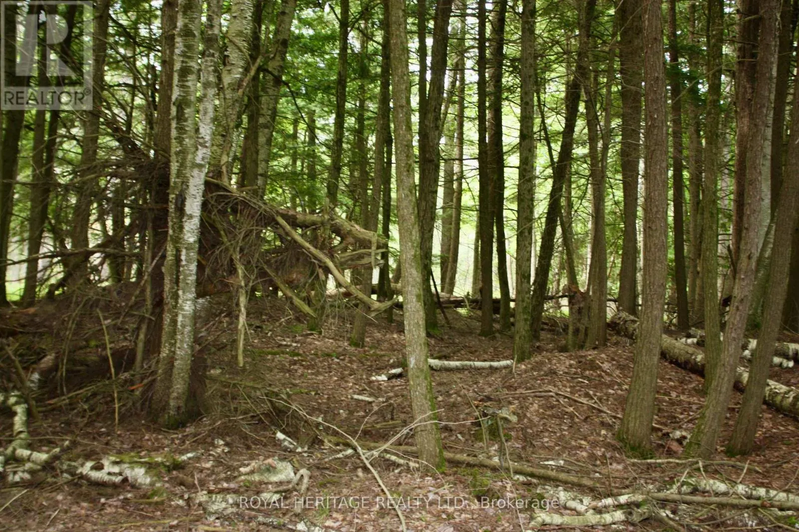 LOT 3 - N/A-WAO KASSHABOG LAKE