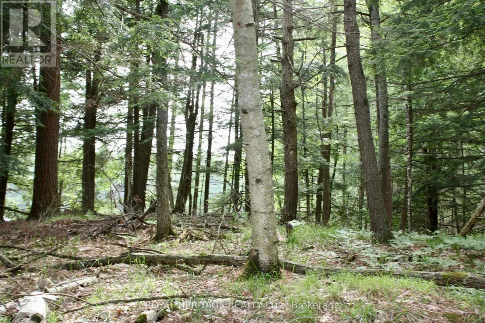LOT 4 - N/A-WAO KASSHABOG LAKE