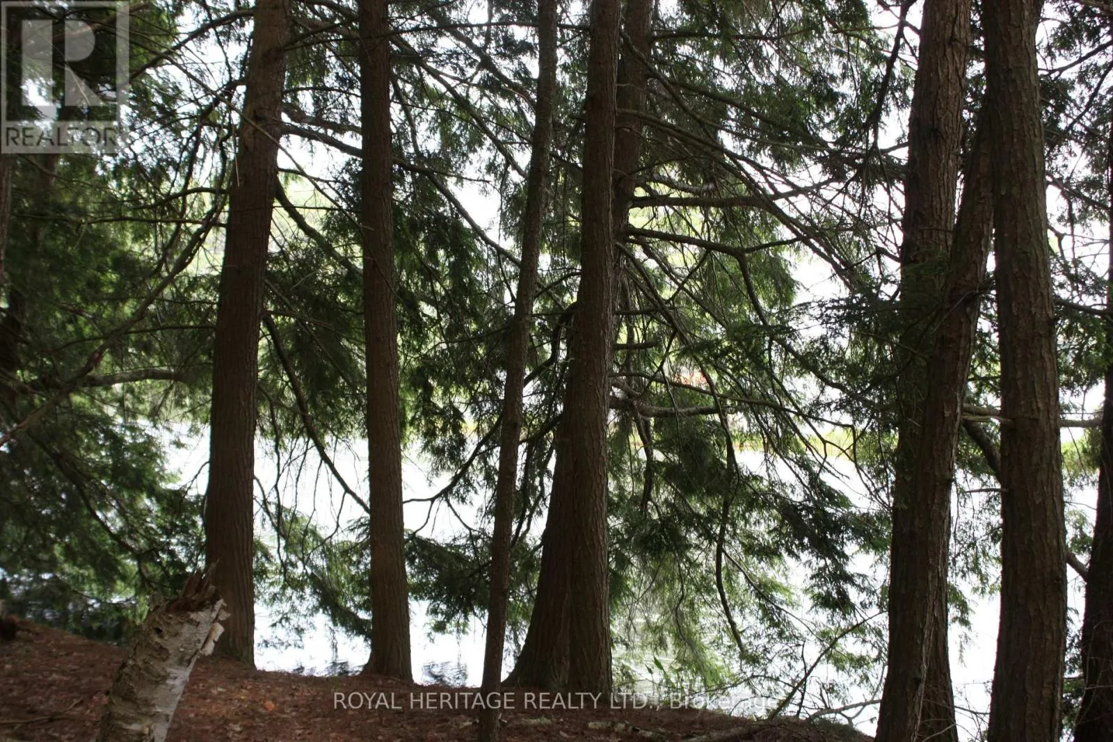 LOT 4 - N/A-WAO KASSHABOG LAKE