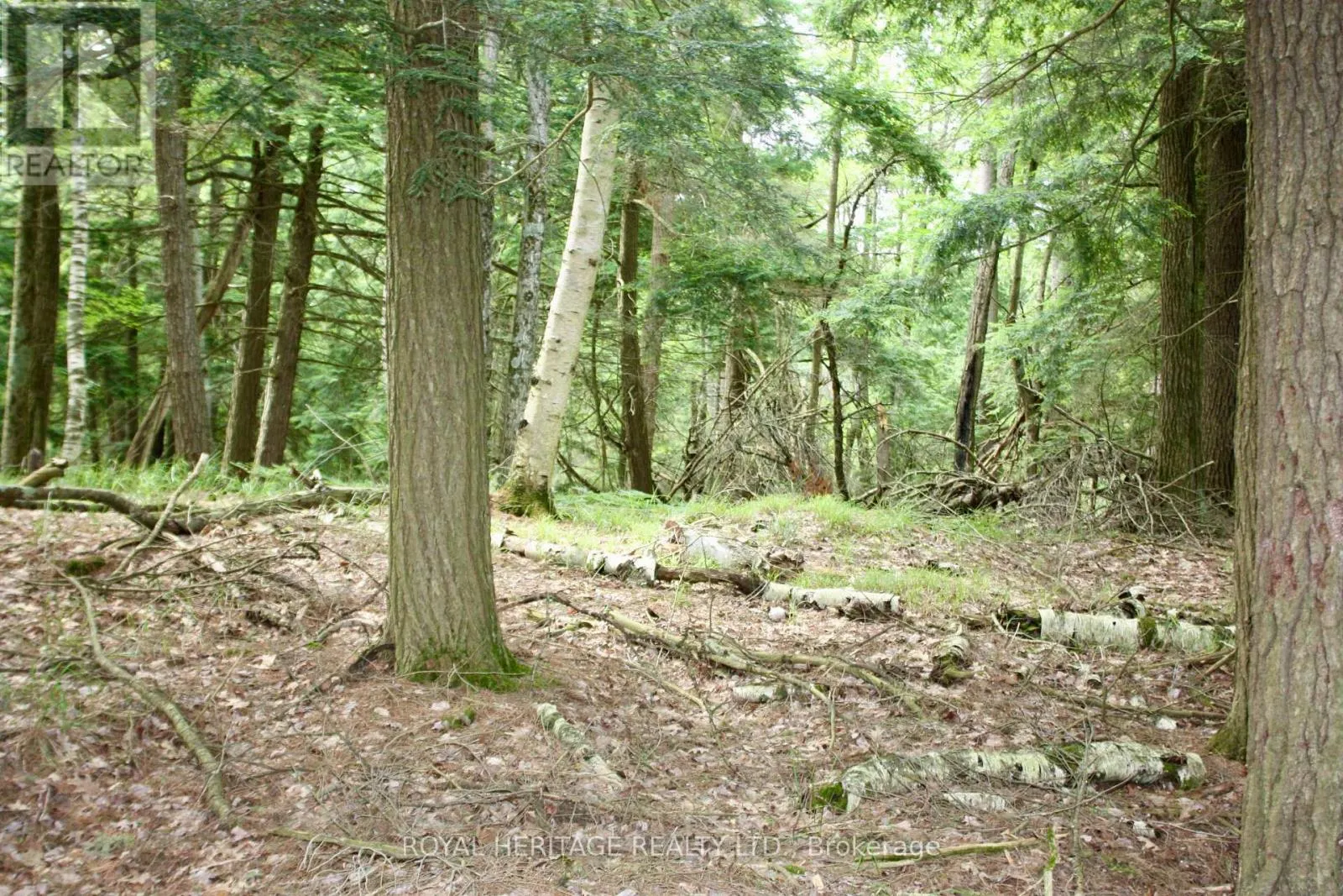LOT 4 - N/A-WAO KASSHABOG LAKE