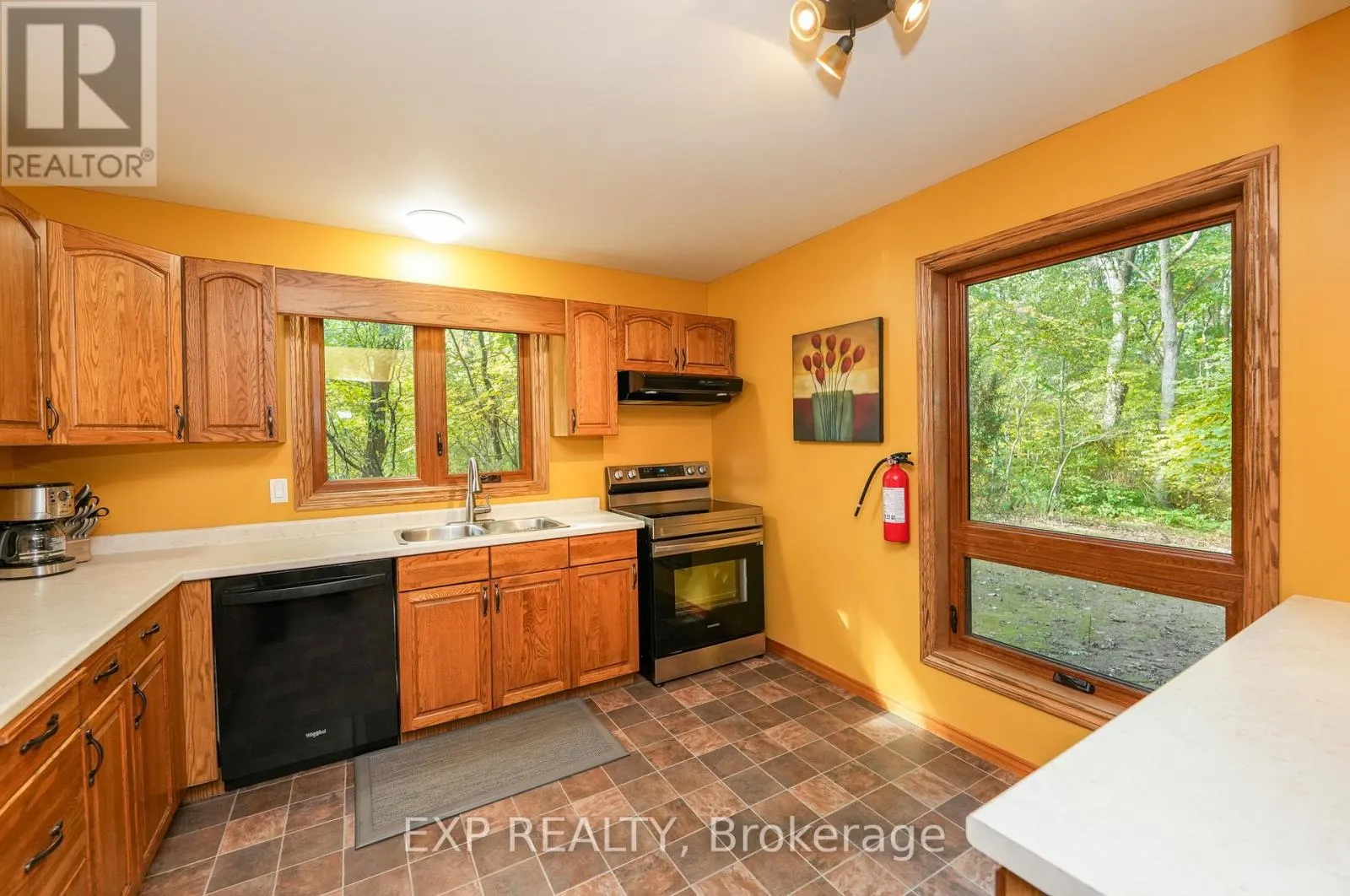 10207 PINETREE DRIVE