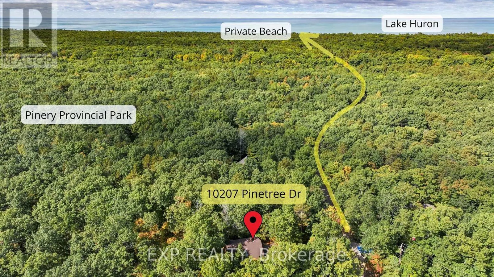 10207 PINETREE DRIVE
