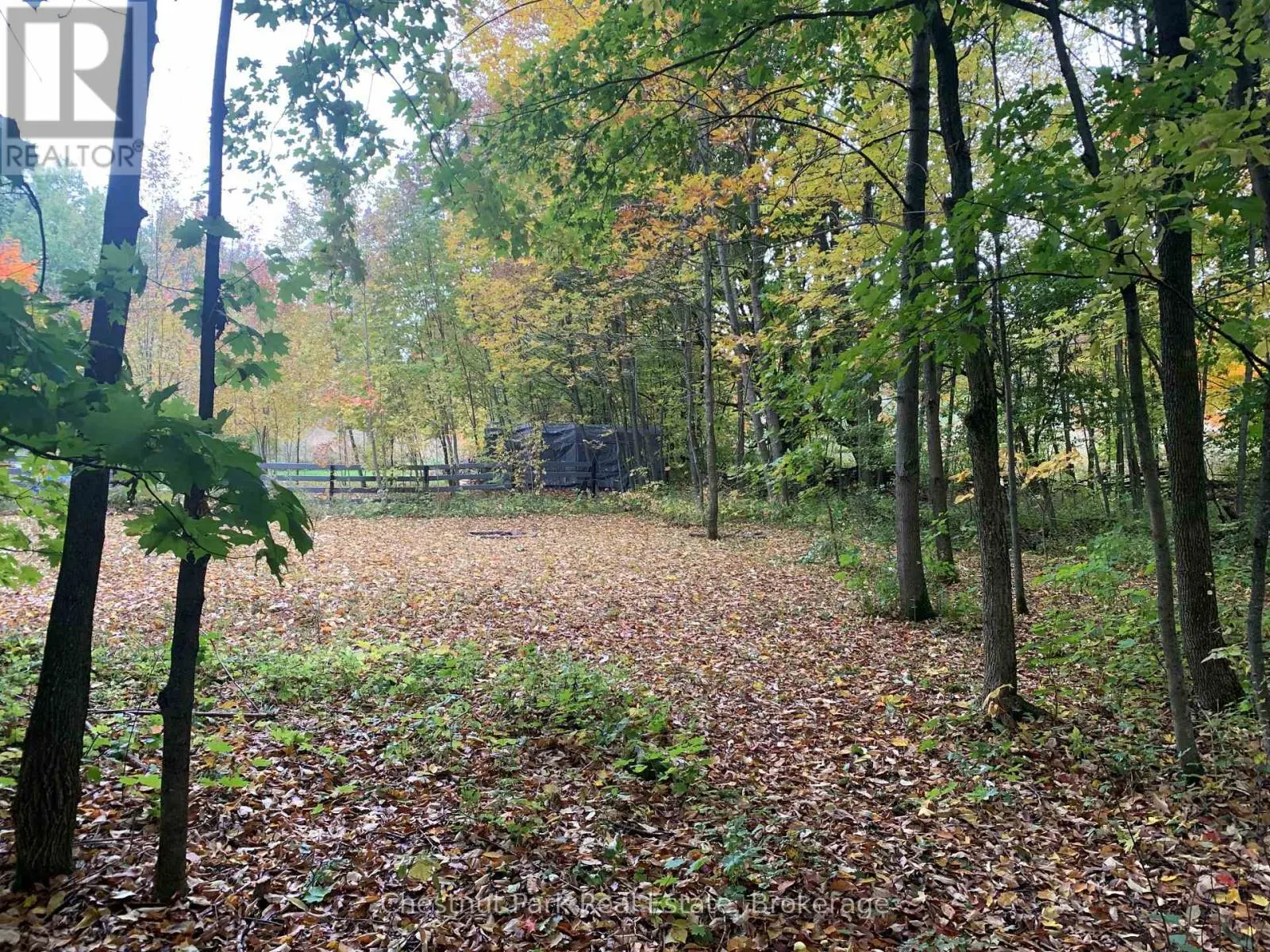 154 BOWLES BLUFF ROAD