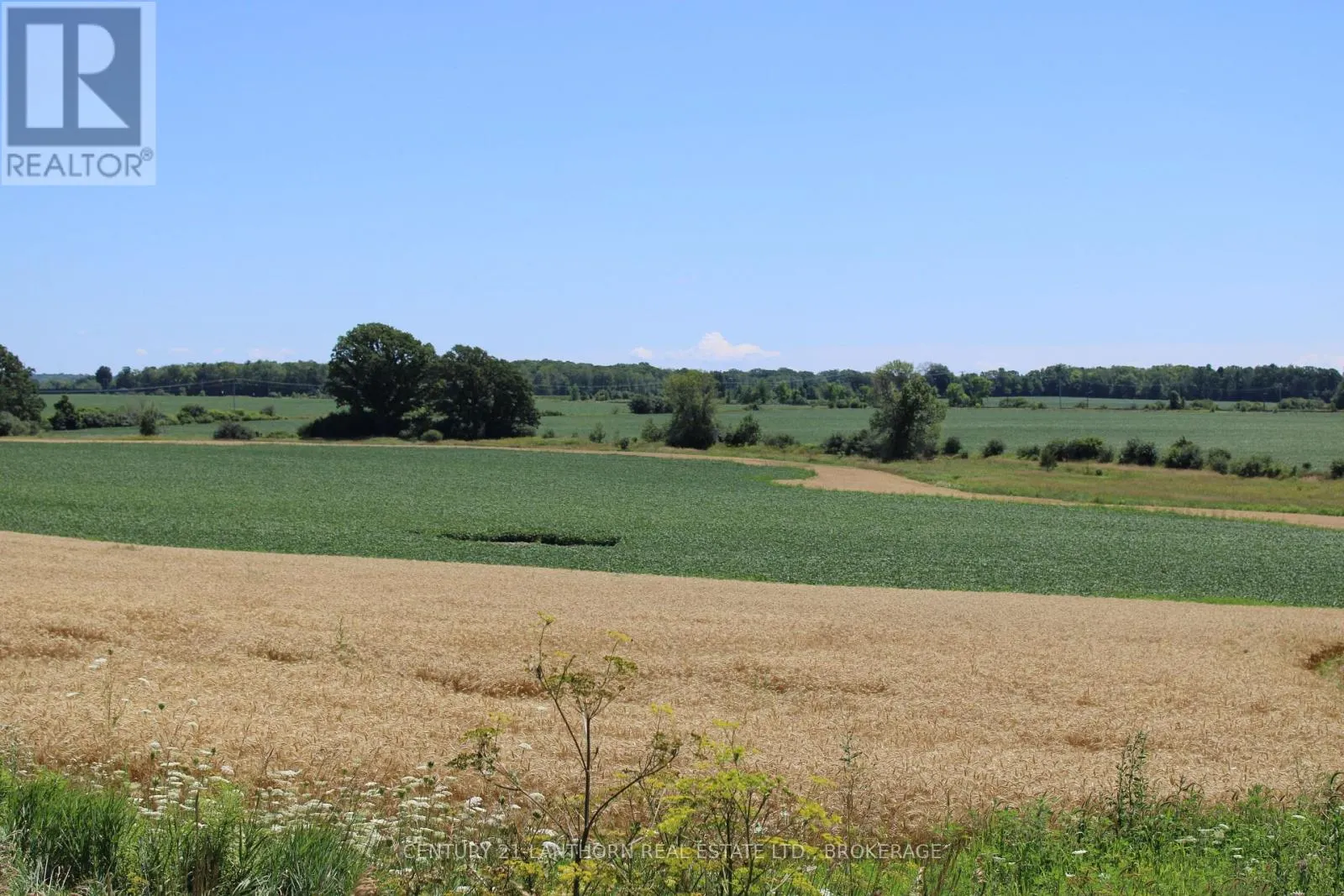 LT15-16 COUNTY ROAD 1 W