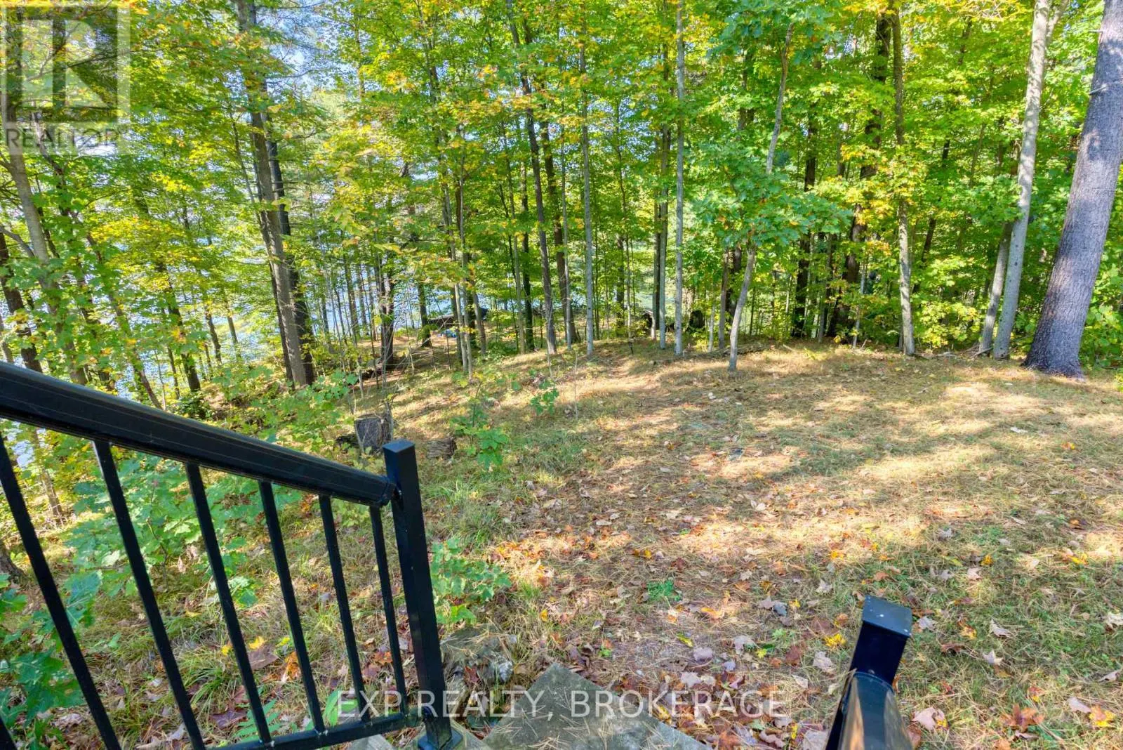 1506 WILLIAMS LANE