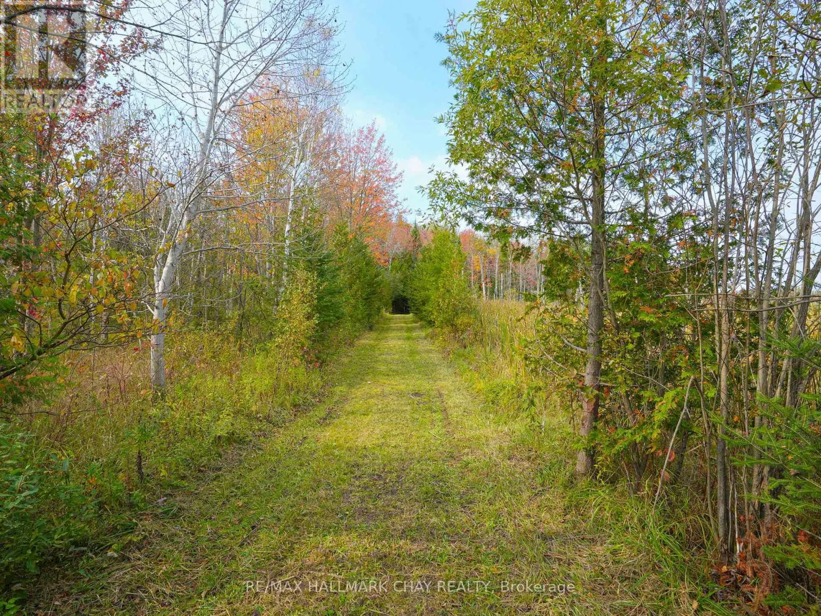 793510 GREY ROAD 124 ROAD