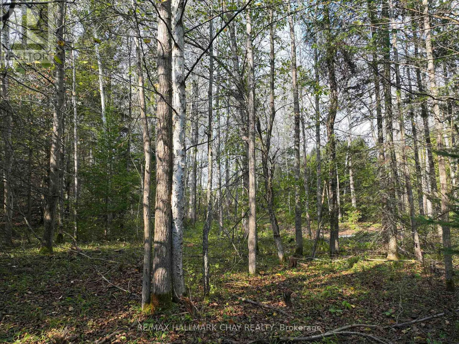 793510 GREY ROAD 124 ROAD