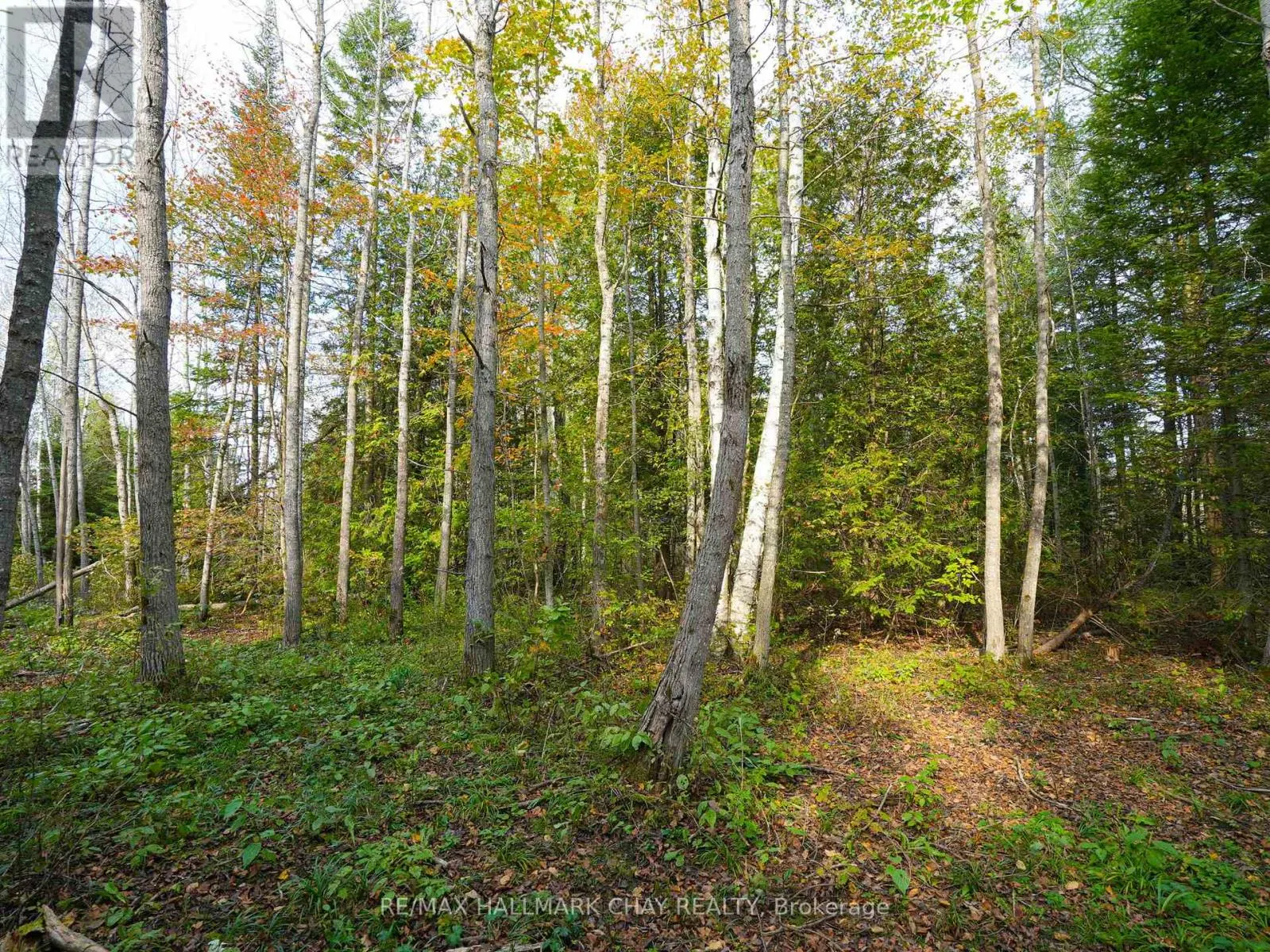 793510 GREY ROAD 124 ROAD