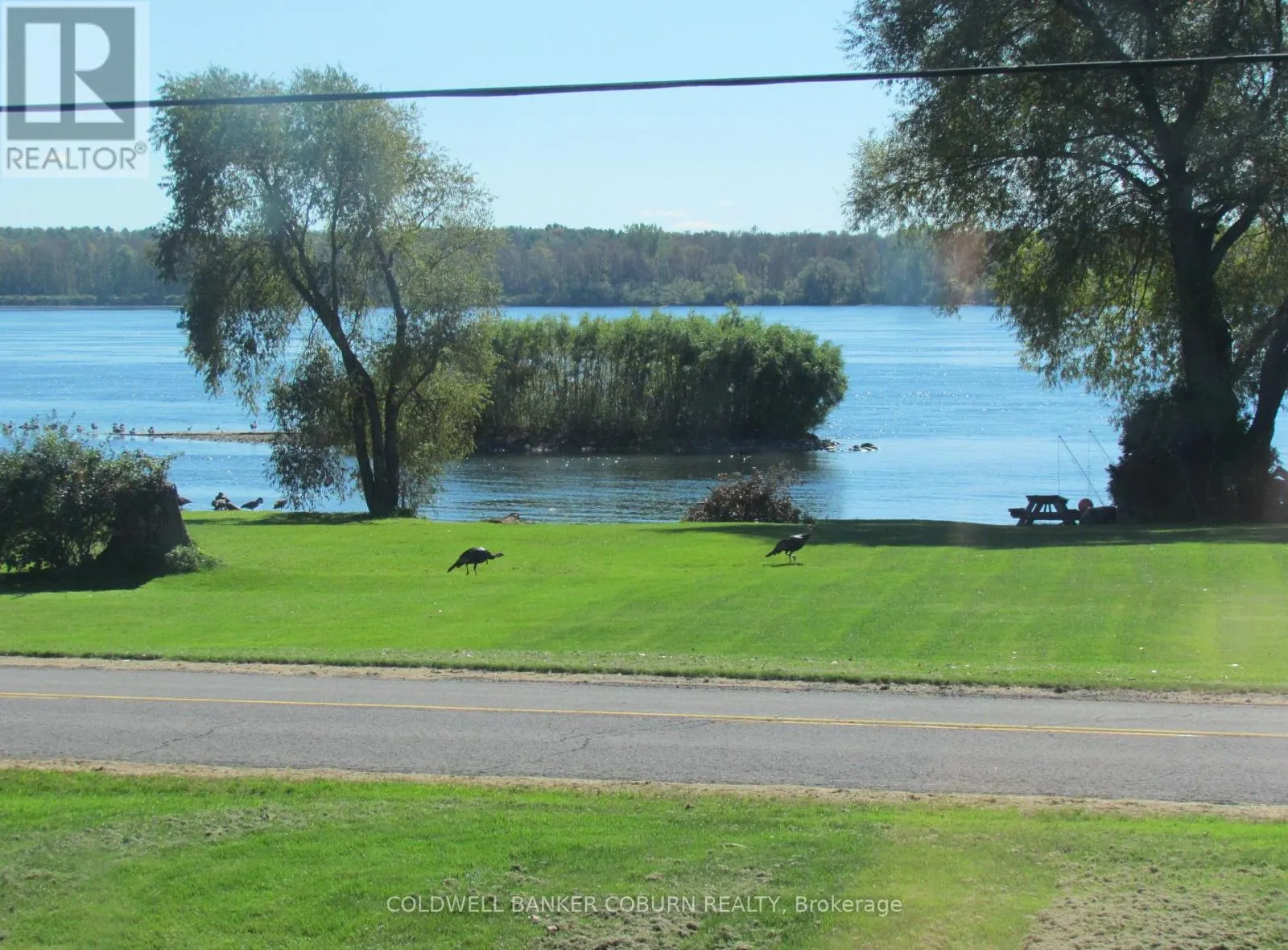 11391 LAKESHORE DRIVE