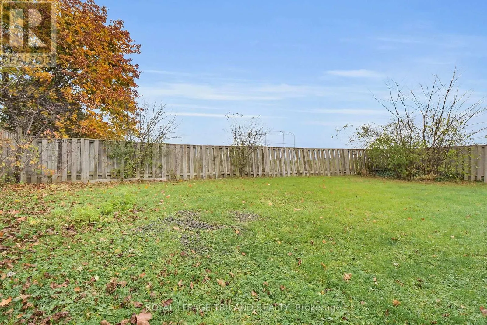 1008 THISTLEDOWN WAY