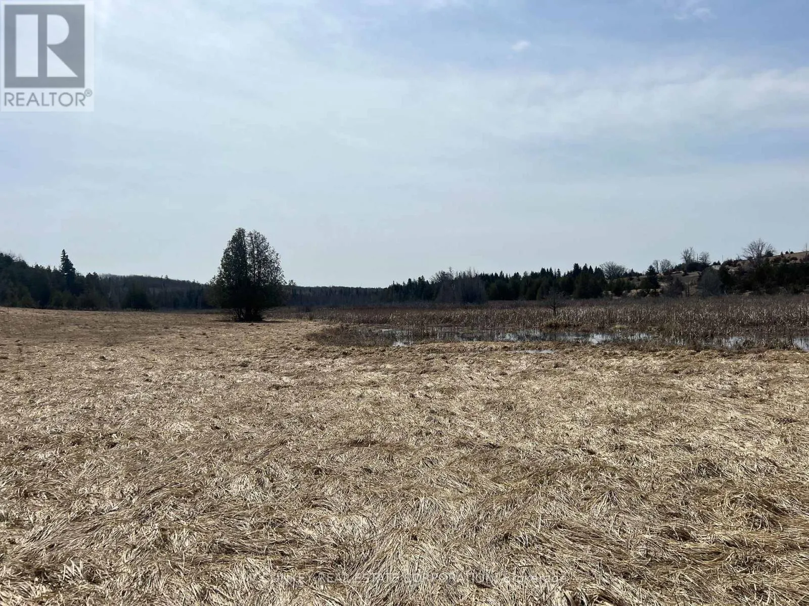 00 CONCESSION ROAD 13 E