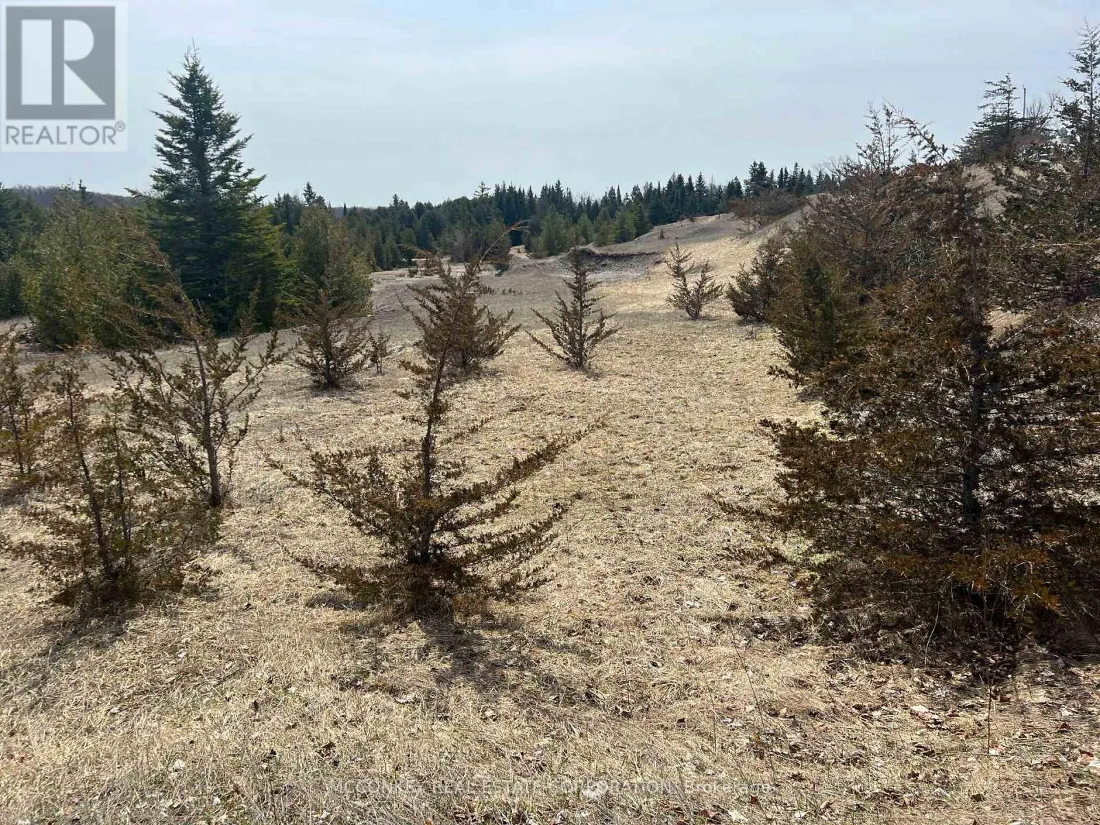 00 CONCESSION ROAD 13 E