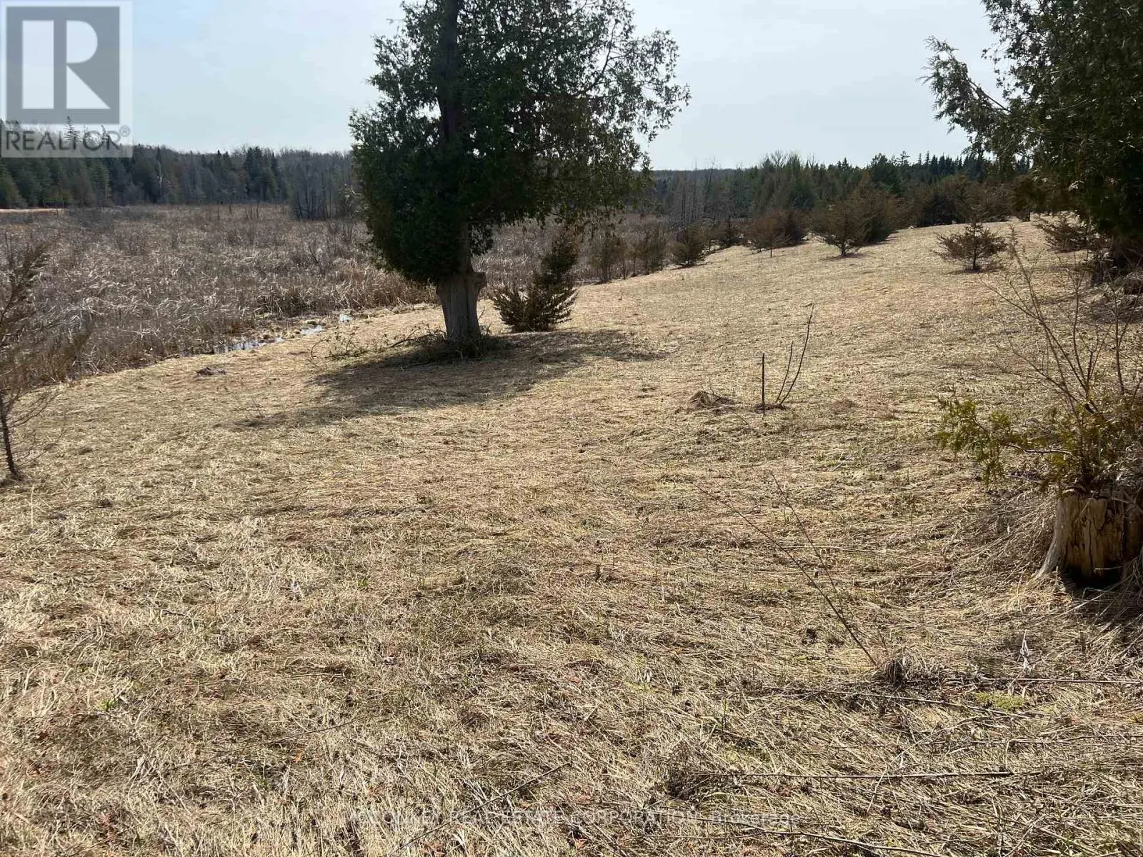 00 CONCESSION ROAD 13 E