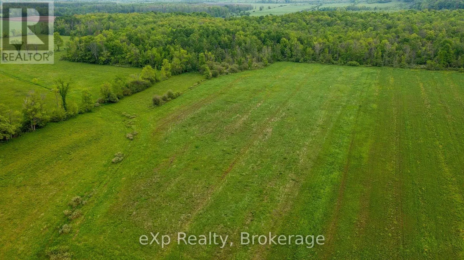 PTLT 29 CONCESSION RD 2 N