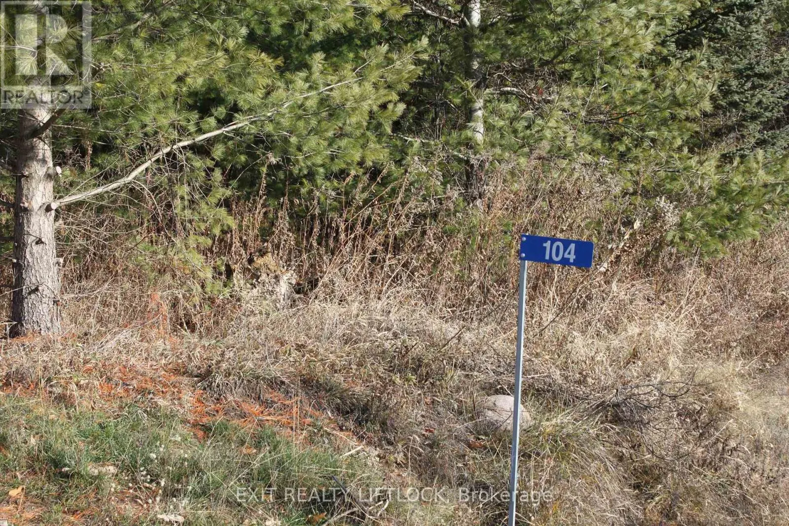 104 CONCESSION 3 W