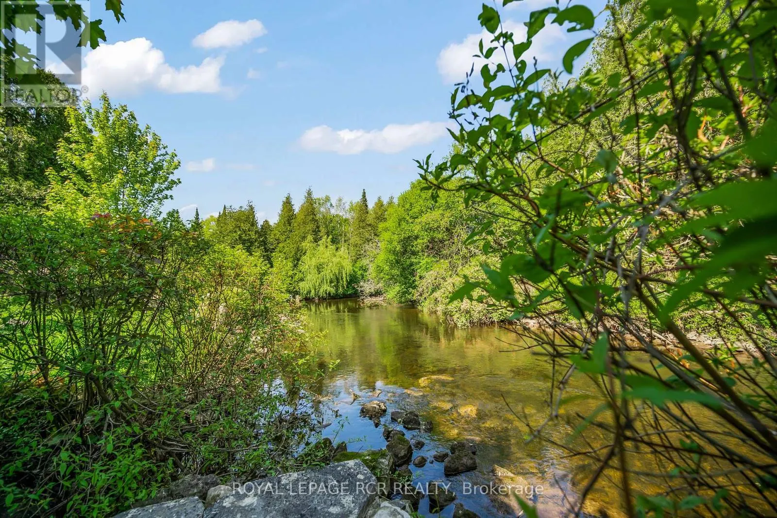 15 RIVER BLUFF PATH