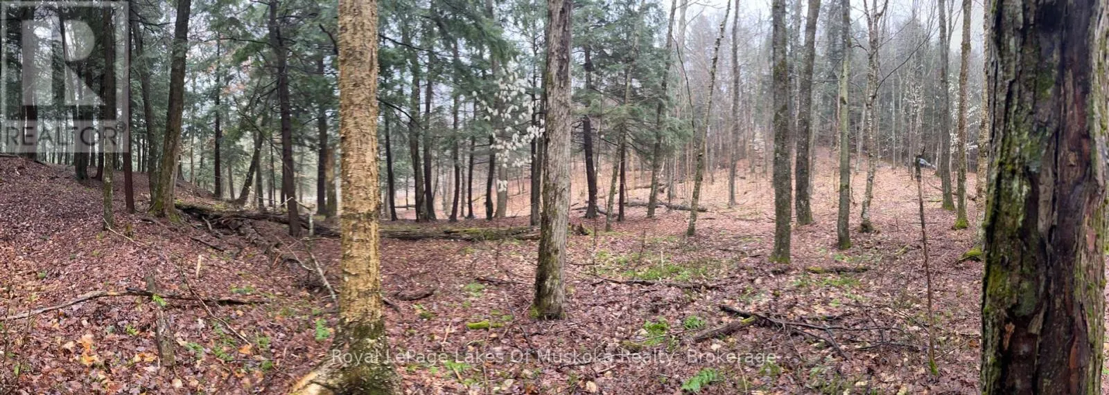 LOT 90 LOOKOUT POINT ROAD