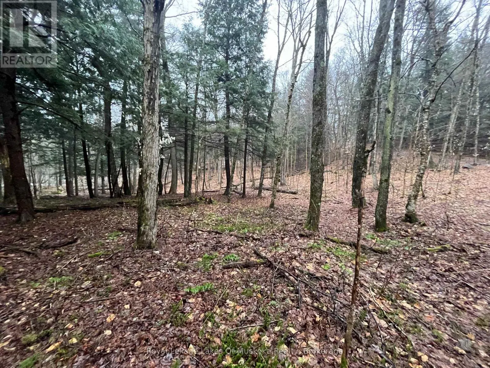 LOT 90 LOOKOUT POINT ROAD