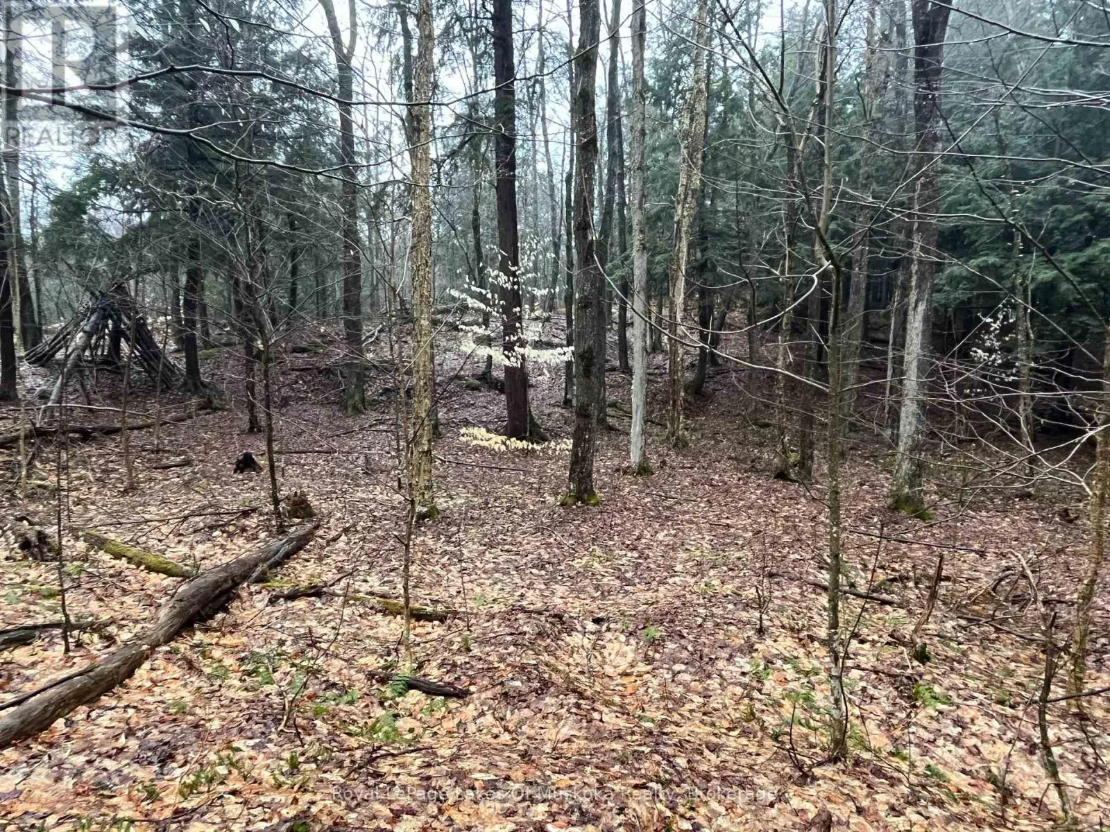 LOT 90 LOOKOUT POINT ROAD