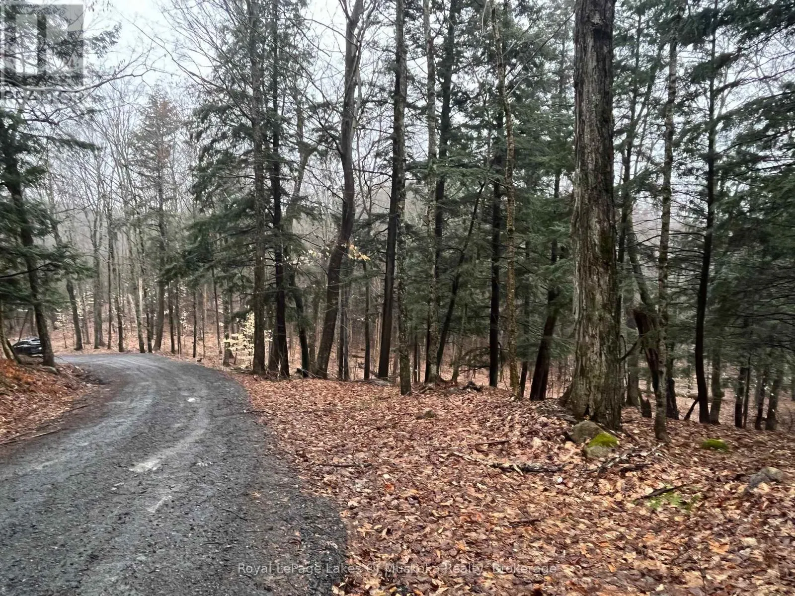LOT 90 LOOKOUT POINT ROAD