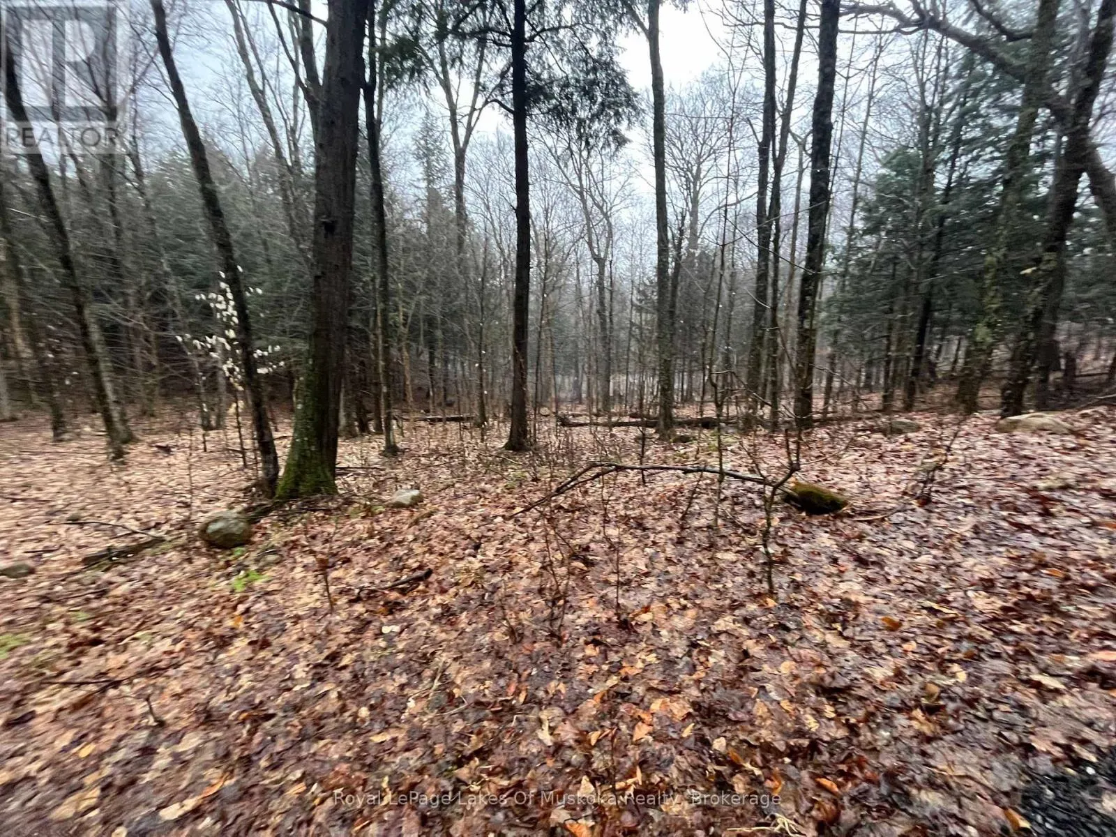 LOT 90 LOOKOUT POINT ROAD