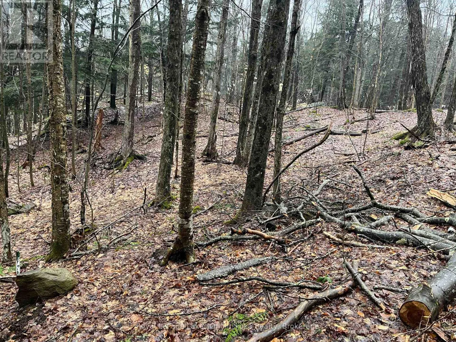 LOT 90 LOOKOUT POINT ROAD