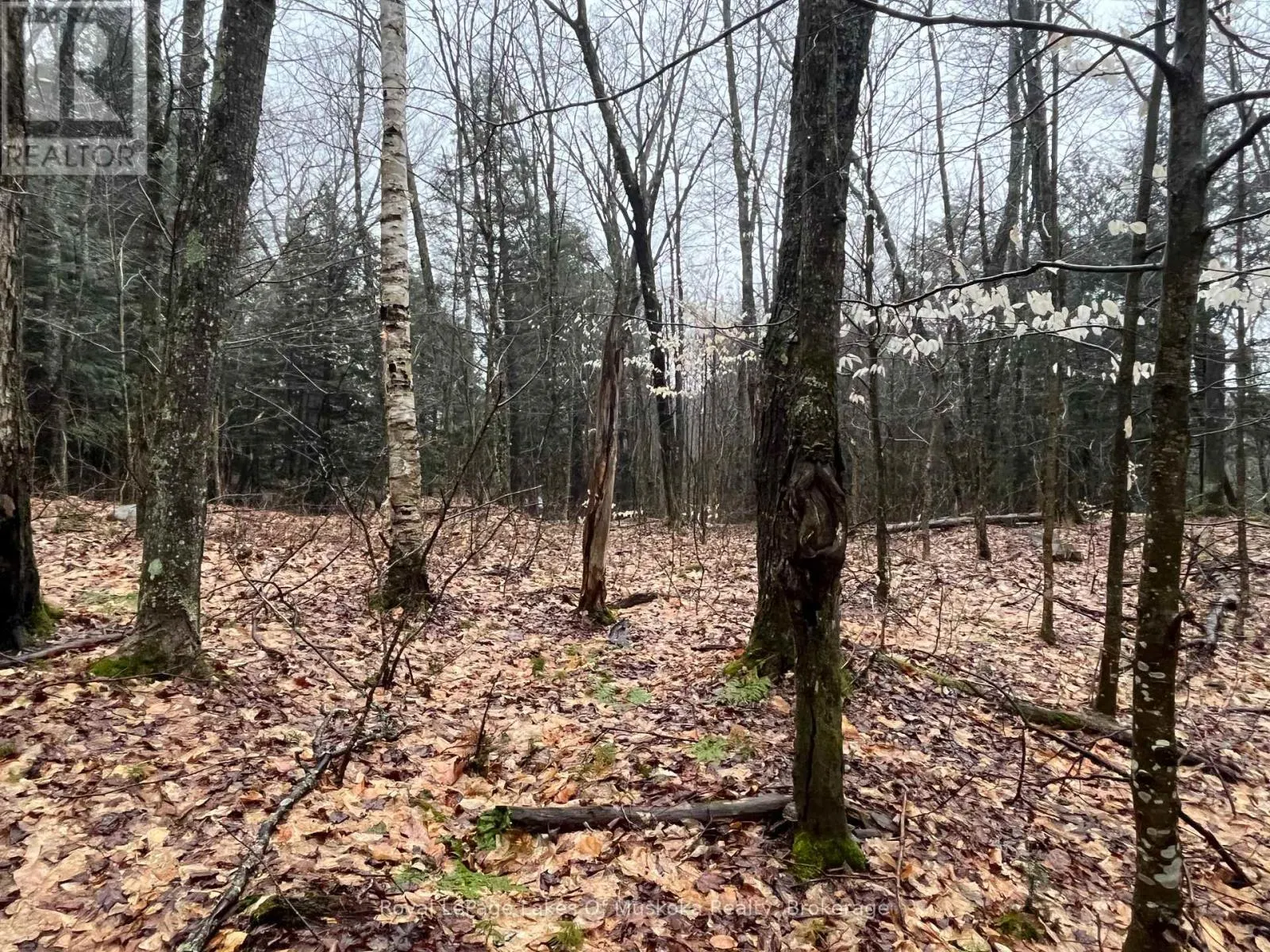 LOT 90 LOOKOUT POINT ROAD