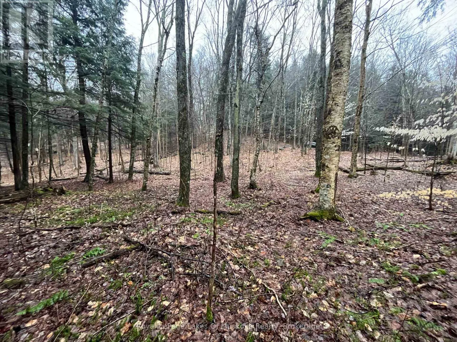LOT 90 LOOKOUT POINT ROAD