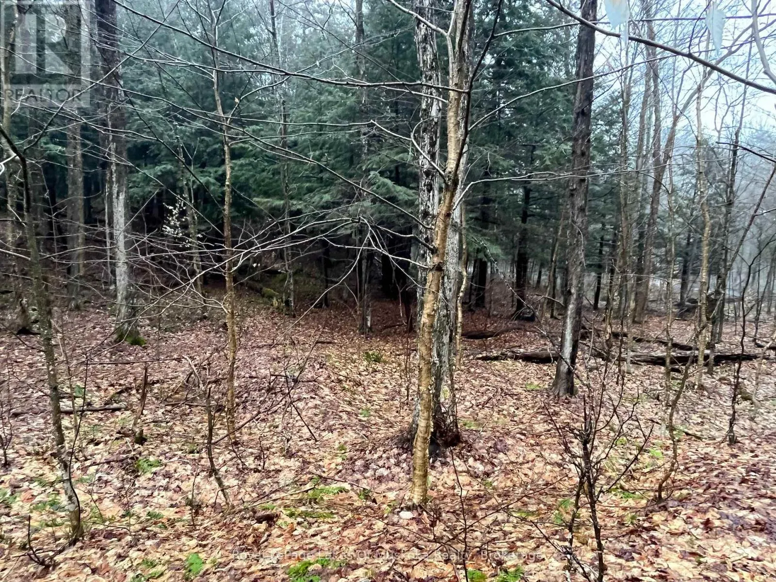 LOT 90 LOOKOUT POINT ROAD