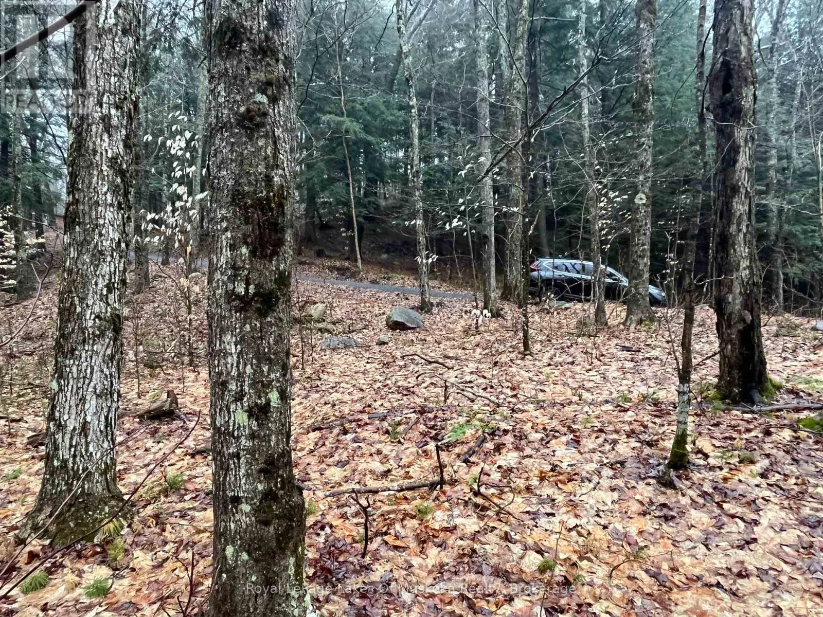 LOT 90 LOOKOUT POINT ROAD