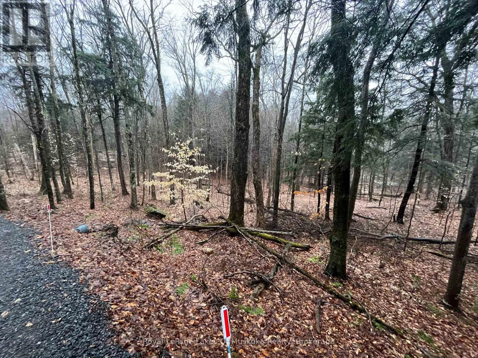 LOT 90 LOOKOUT POINT ROAD