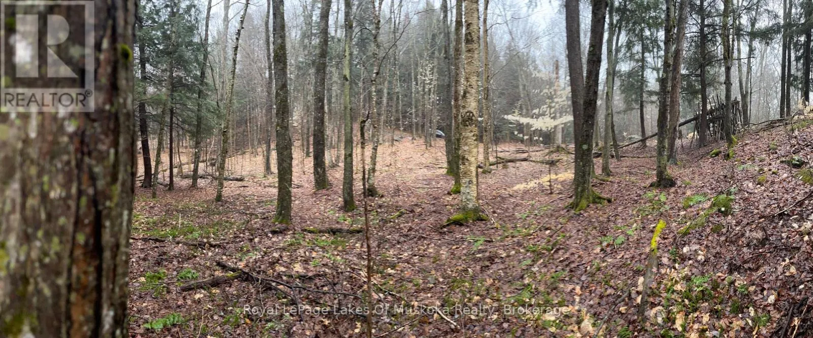 LOT 90 LOOKOUT POINT ROAD
