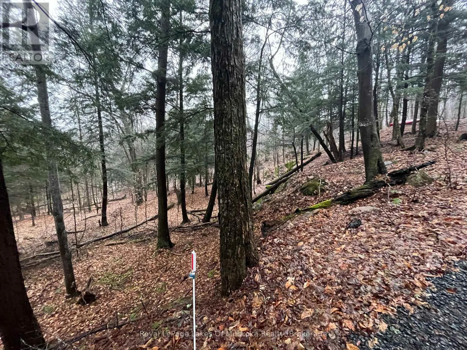 LOT 90 LOOKOUT POINT ROAD