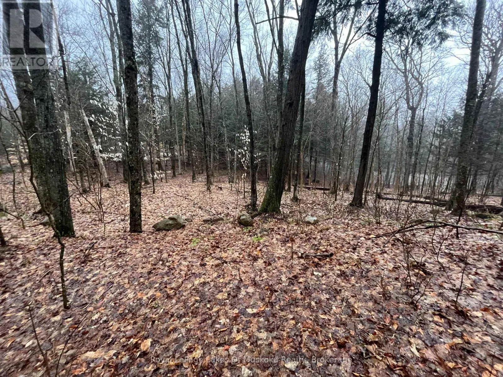 LOT 90 LOOKOUT POINT ROAD