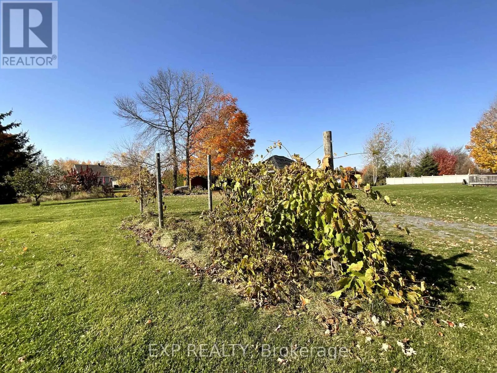 26 PENNY LANE