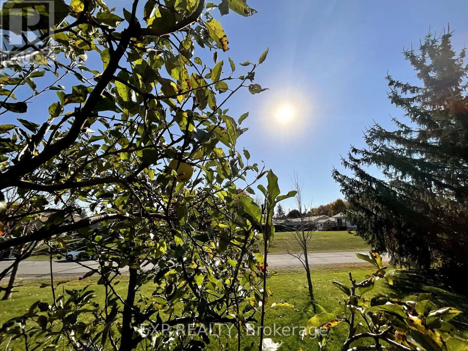 26 PENNY LANE