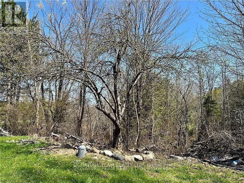 15 SEBASTOPOL DRIVE